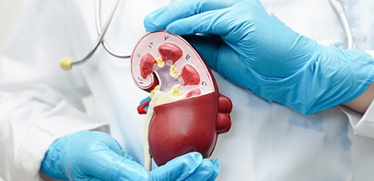 Kidney Transplant Department